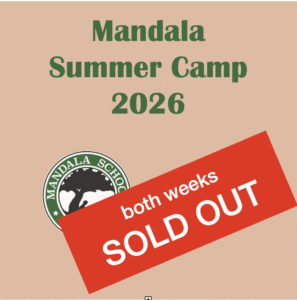 Screenshot 2026-03-02 at 12.46.46 PM